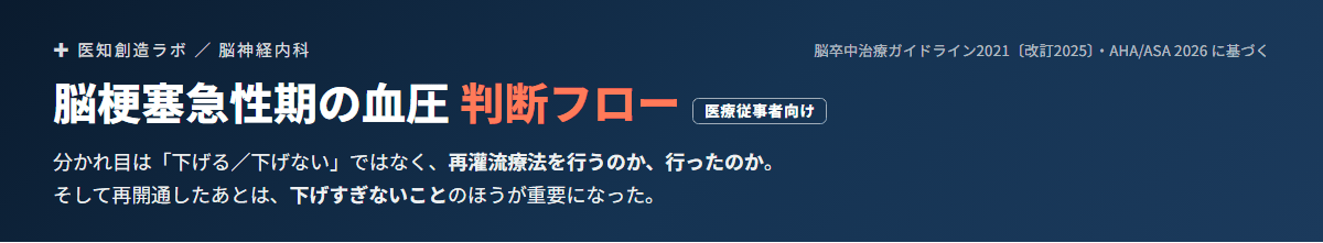 脳梗塞急性期の血圧はどこまで下げるか｜再灌流療法の有無で変わる降圧の判断 サムネイル