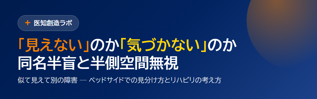 同名半盲と半側空間無視の違い｜「見えない」と「気づかない」のベッドサイド鑑別とリハビリ サムネイル