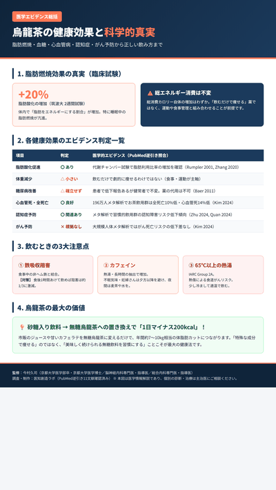 烏龍茶の健康効果と科学的エビデンス｜脂肪燃焼・血糖・心血管病から3大注意点まで サムネイル