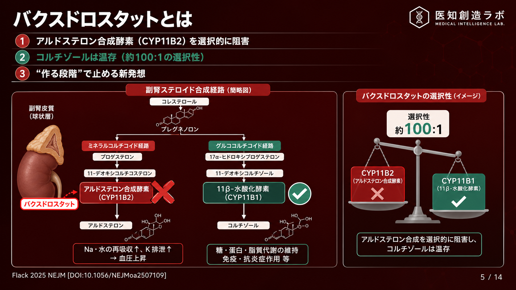 スライド5