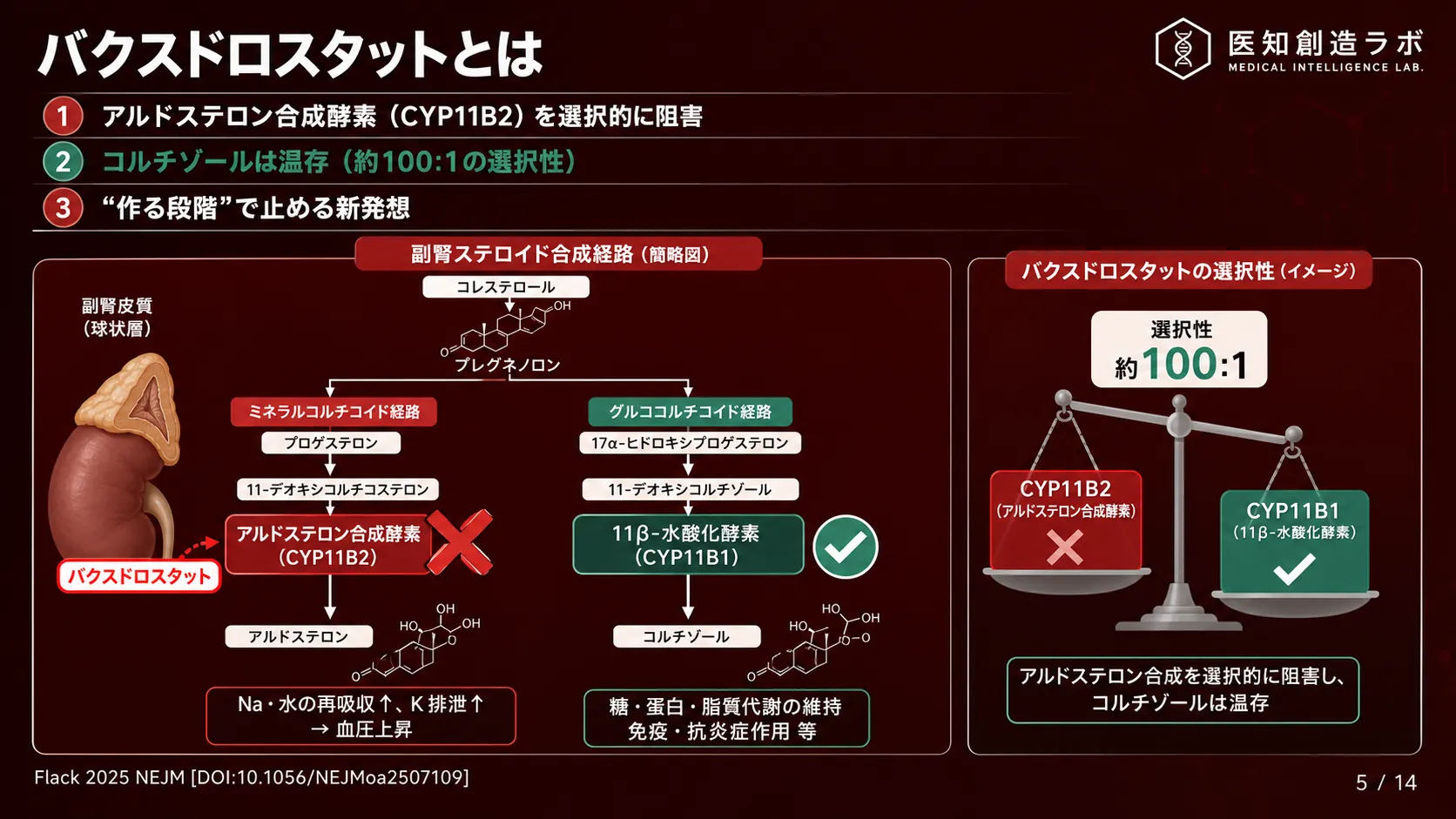 スライド5