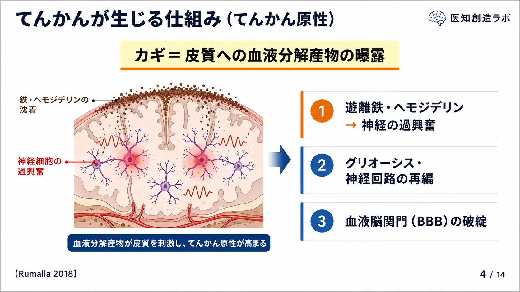 スライド4