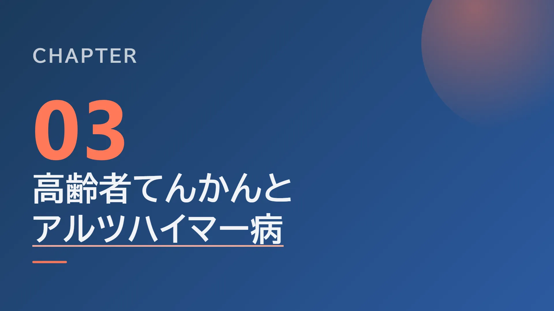 スライド11