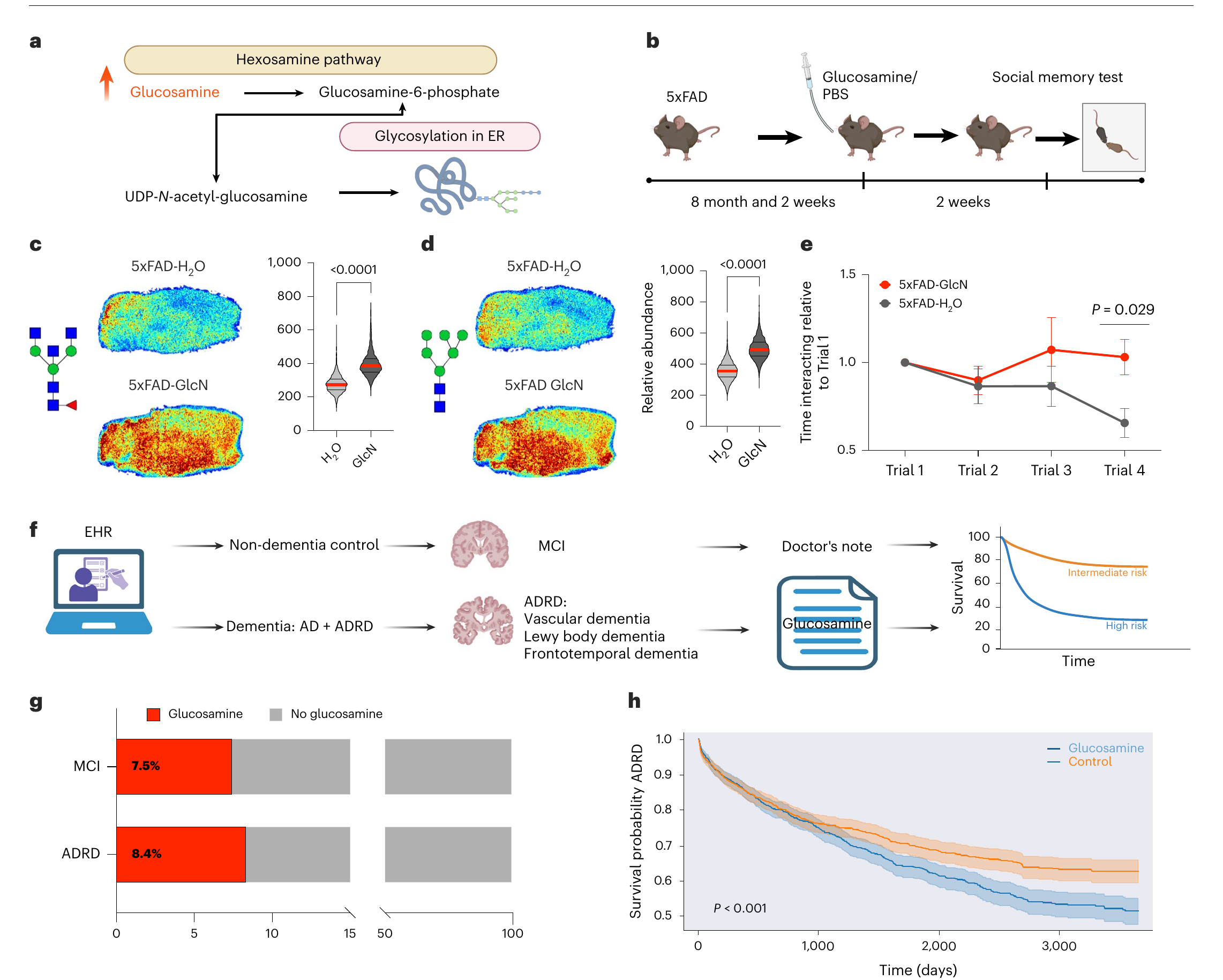 Figure 6：グルコサミンで悪化（マウス）＋実臨床EHR