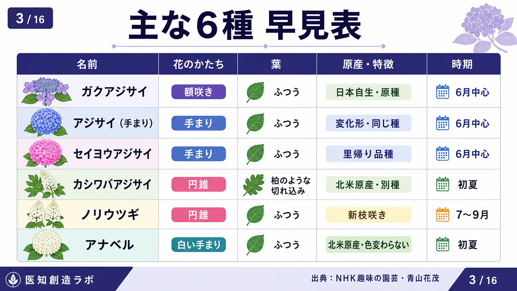 スライド3