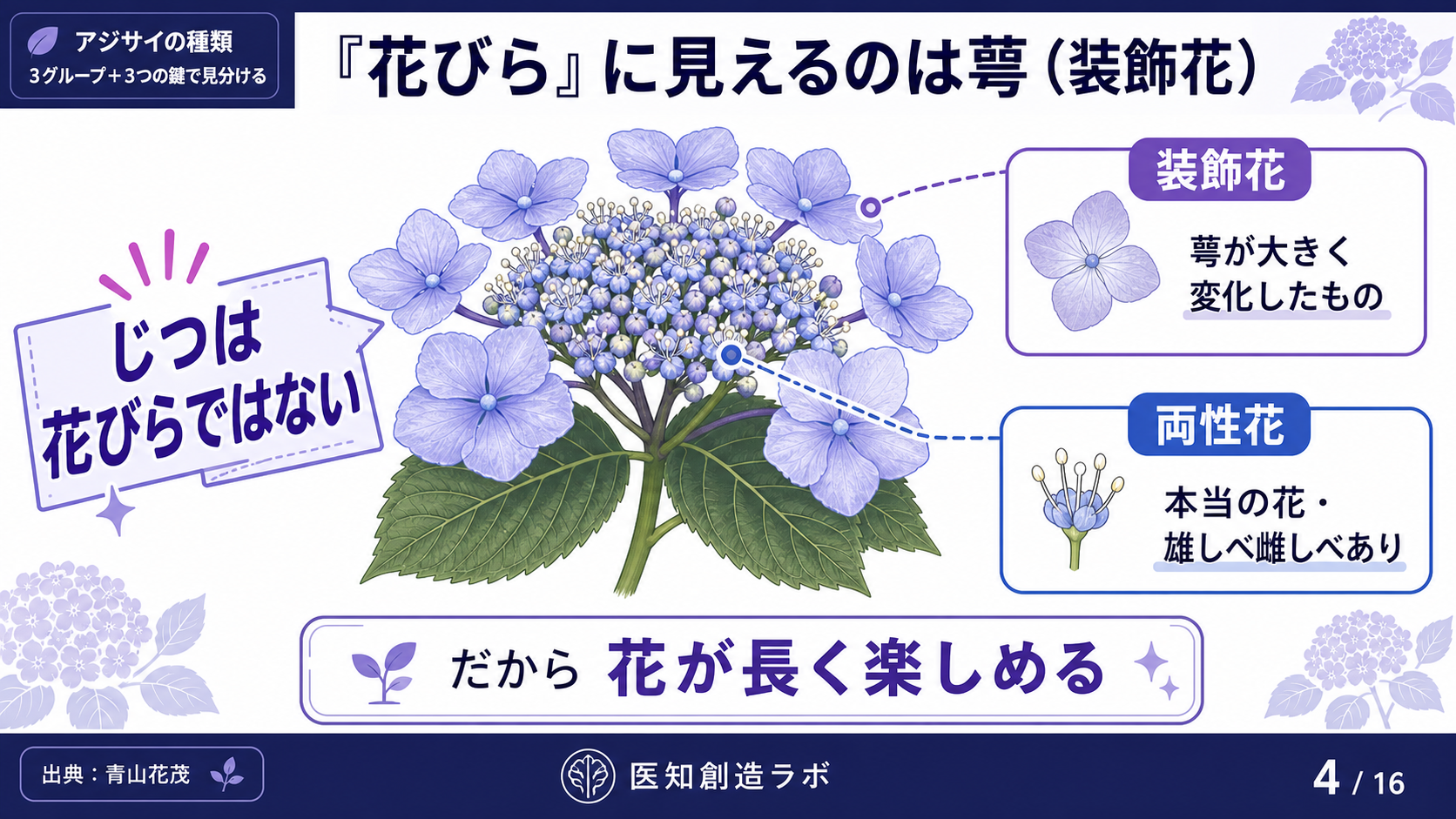 スライド4