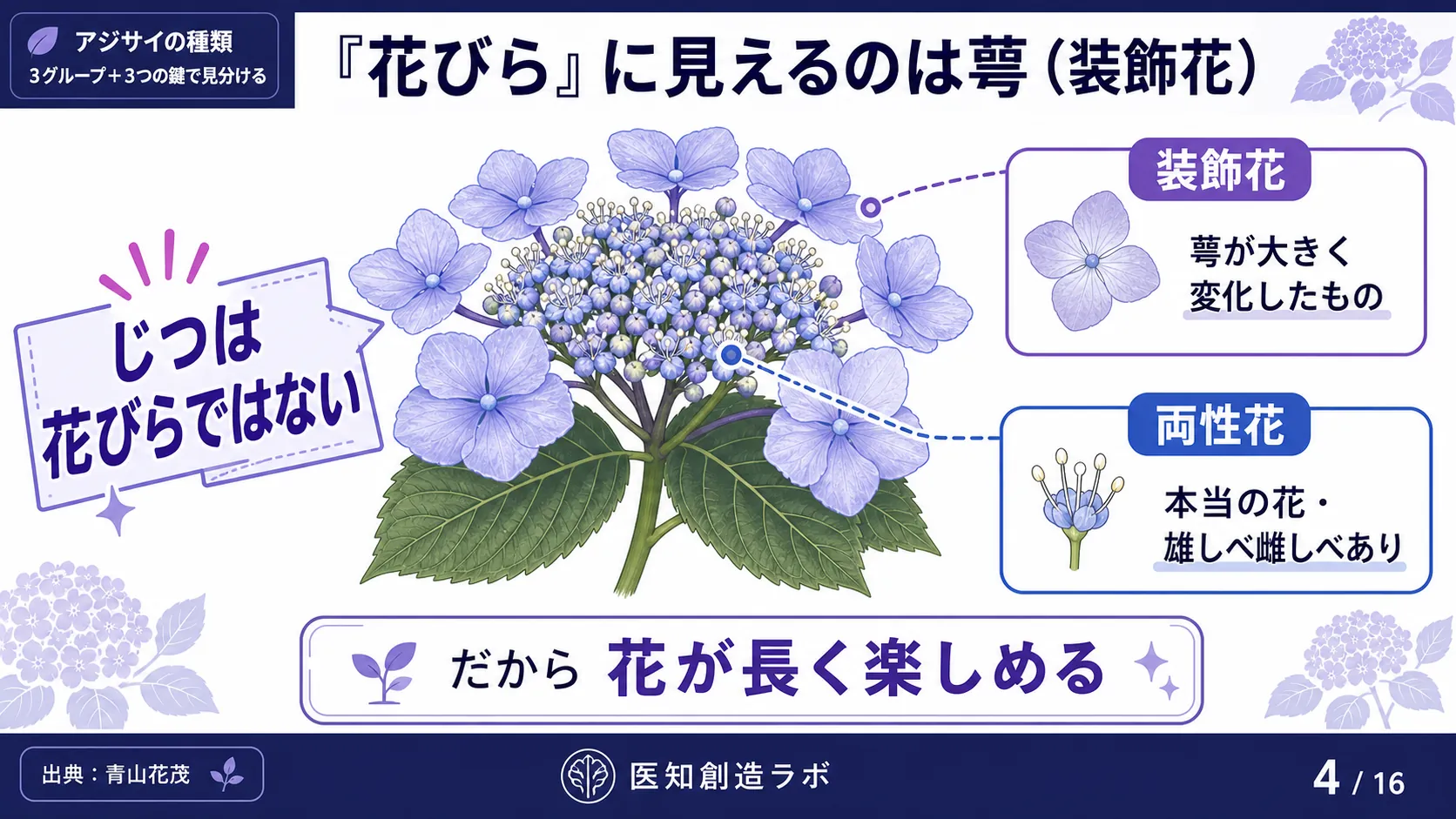 スライド4