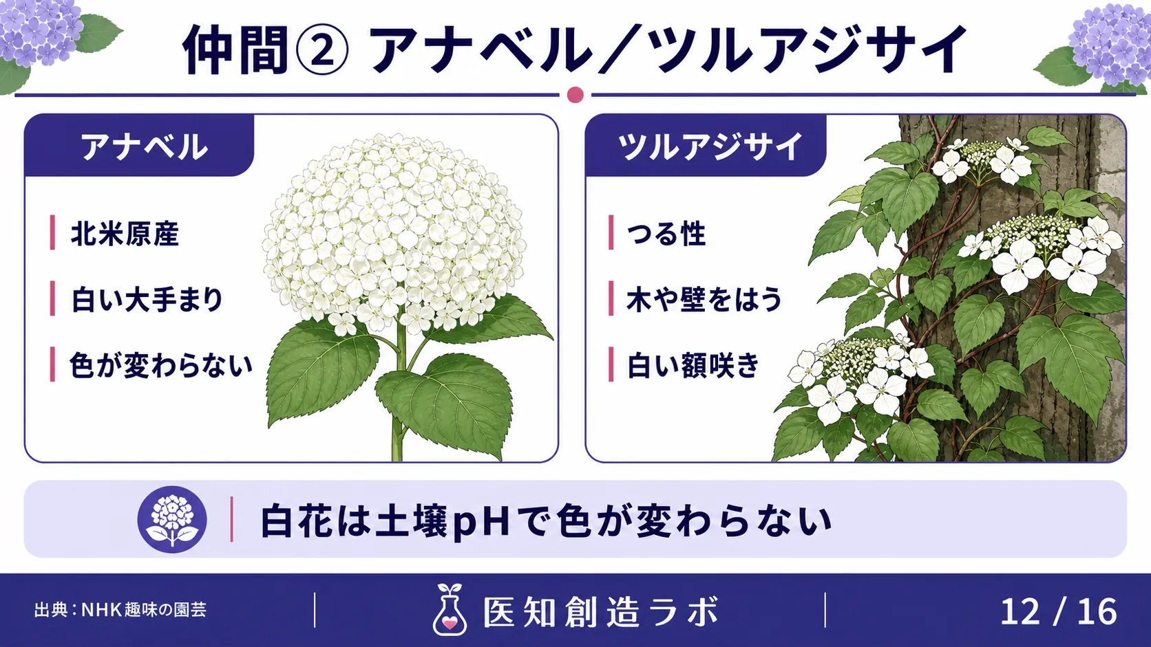 スライド12