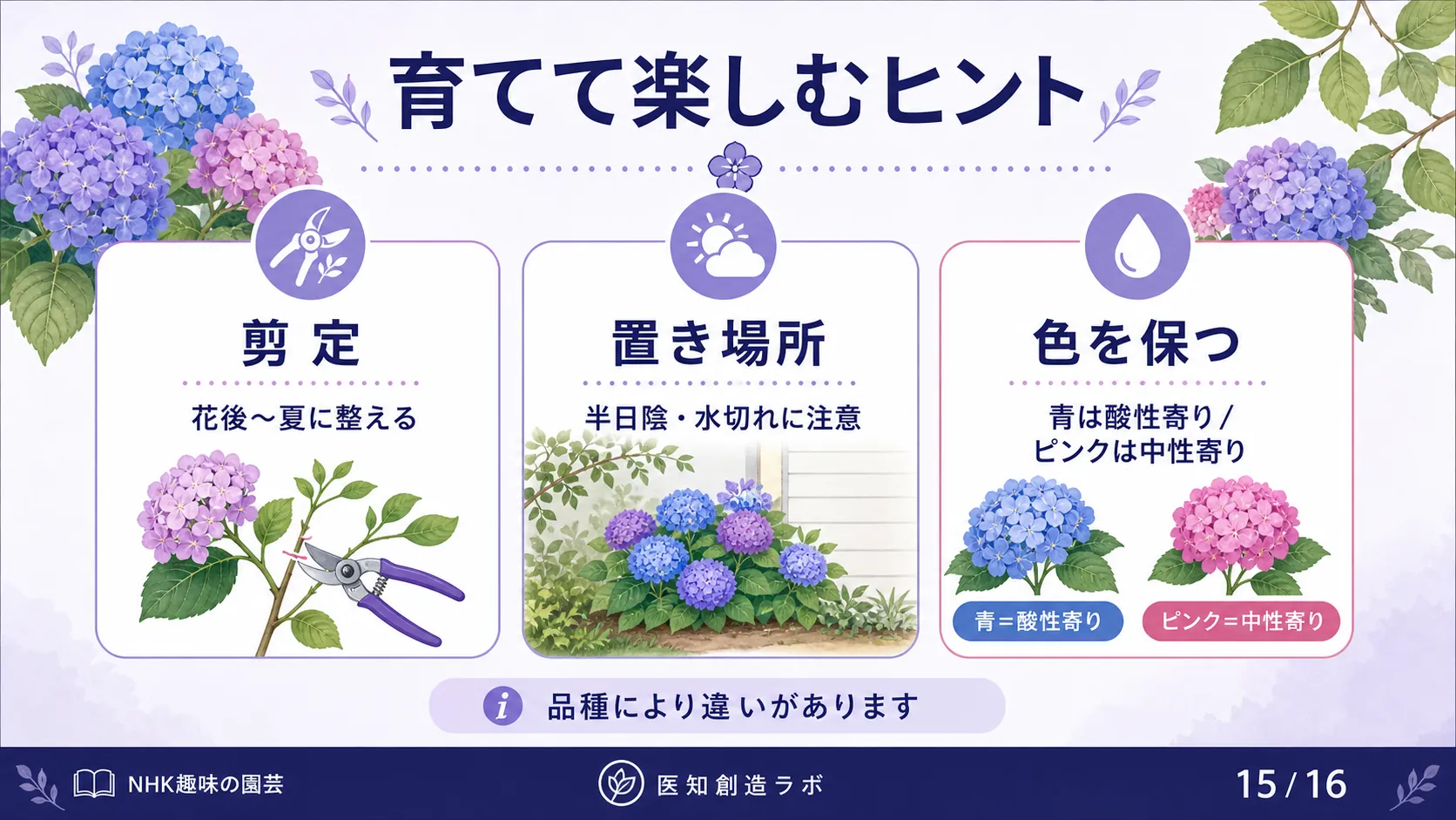スライド15