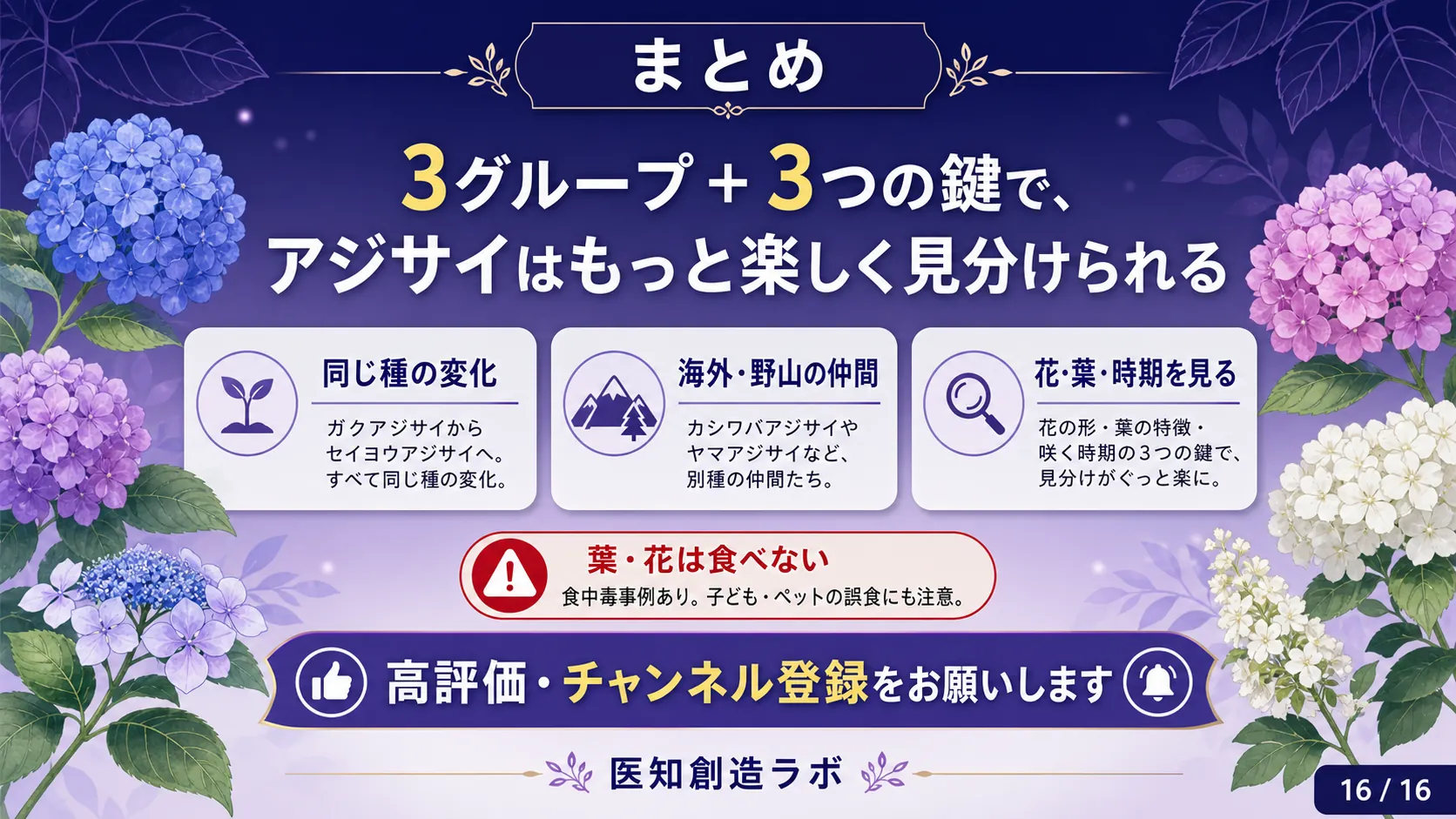 スライド16