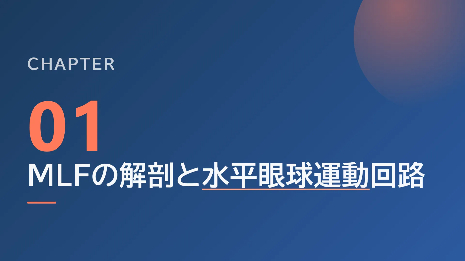 スライド4