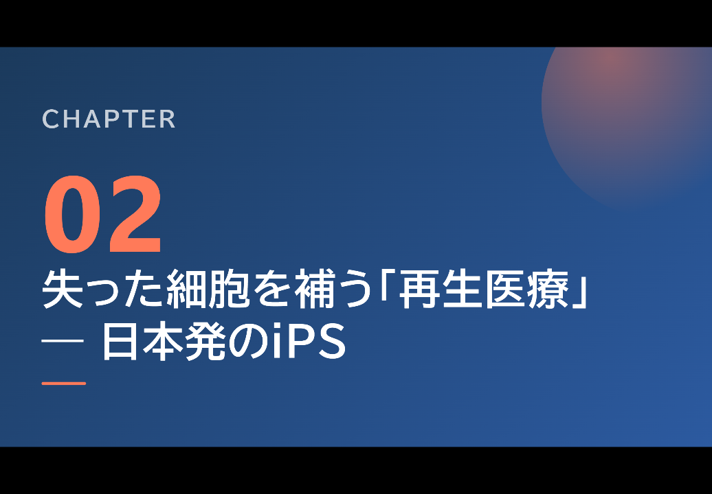 スライド8