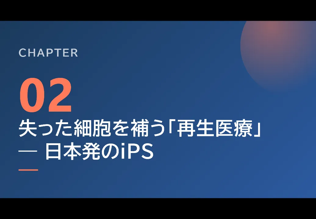 スライド8