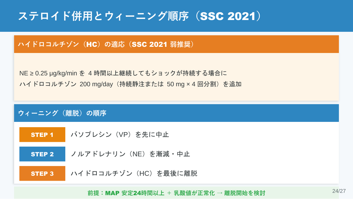スライド24