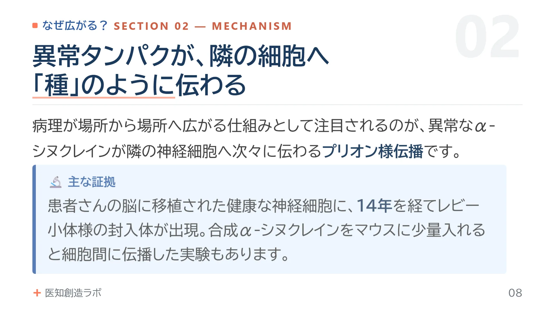 スライド8