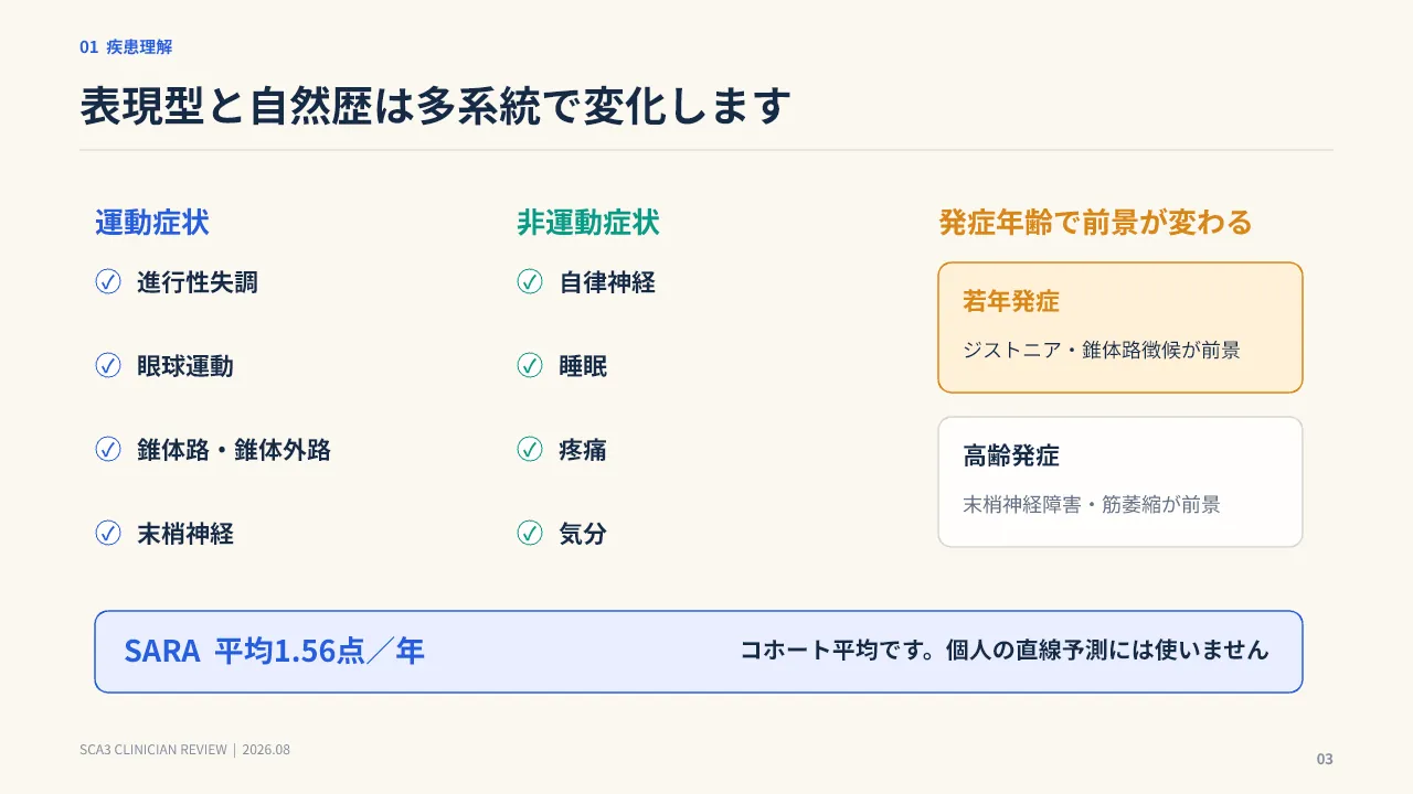 スライド3