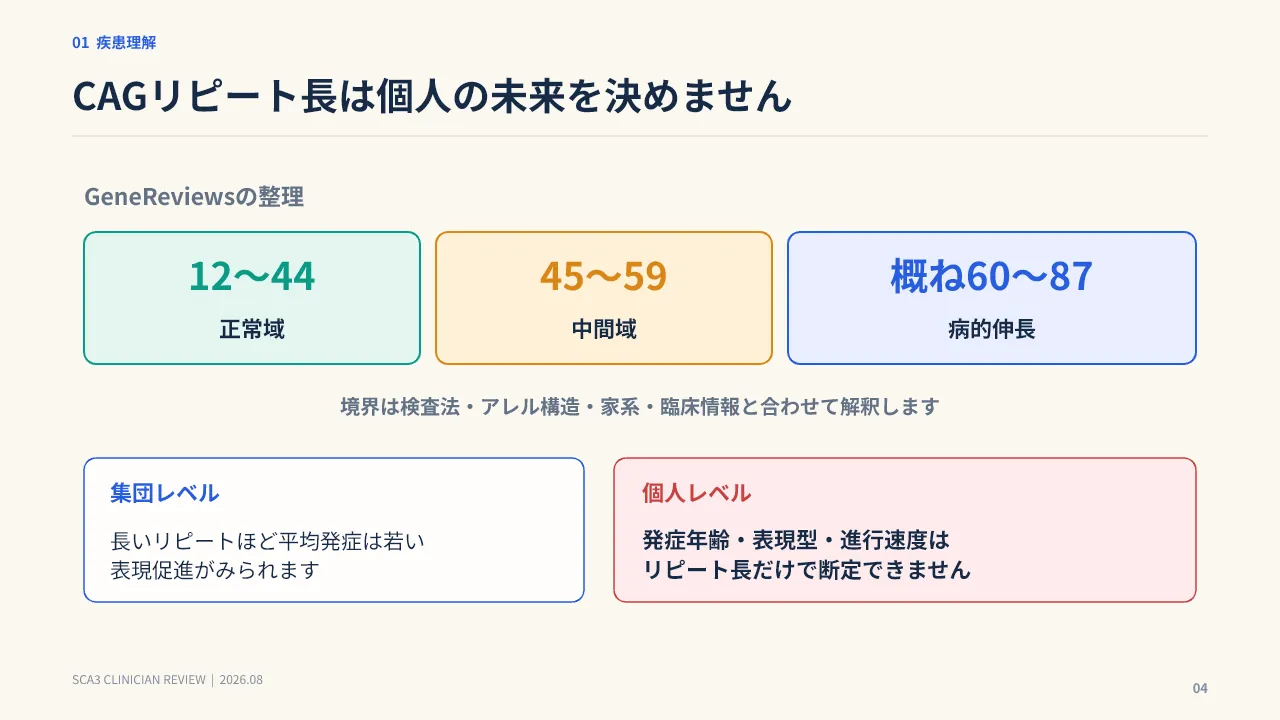 スライド4