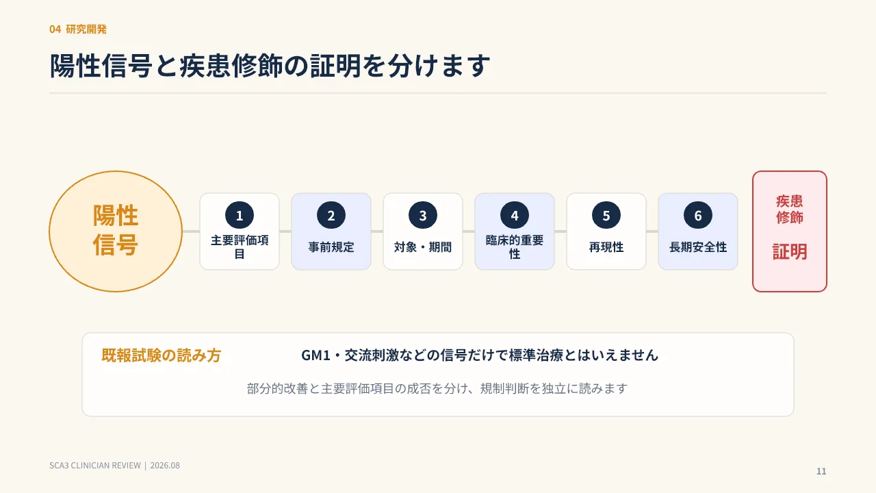 スライド11