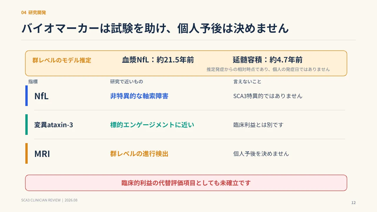 スライド12