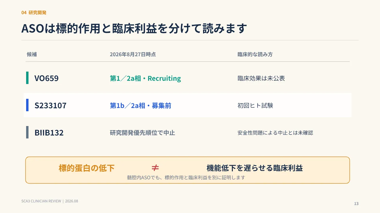 スライド13