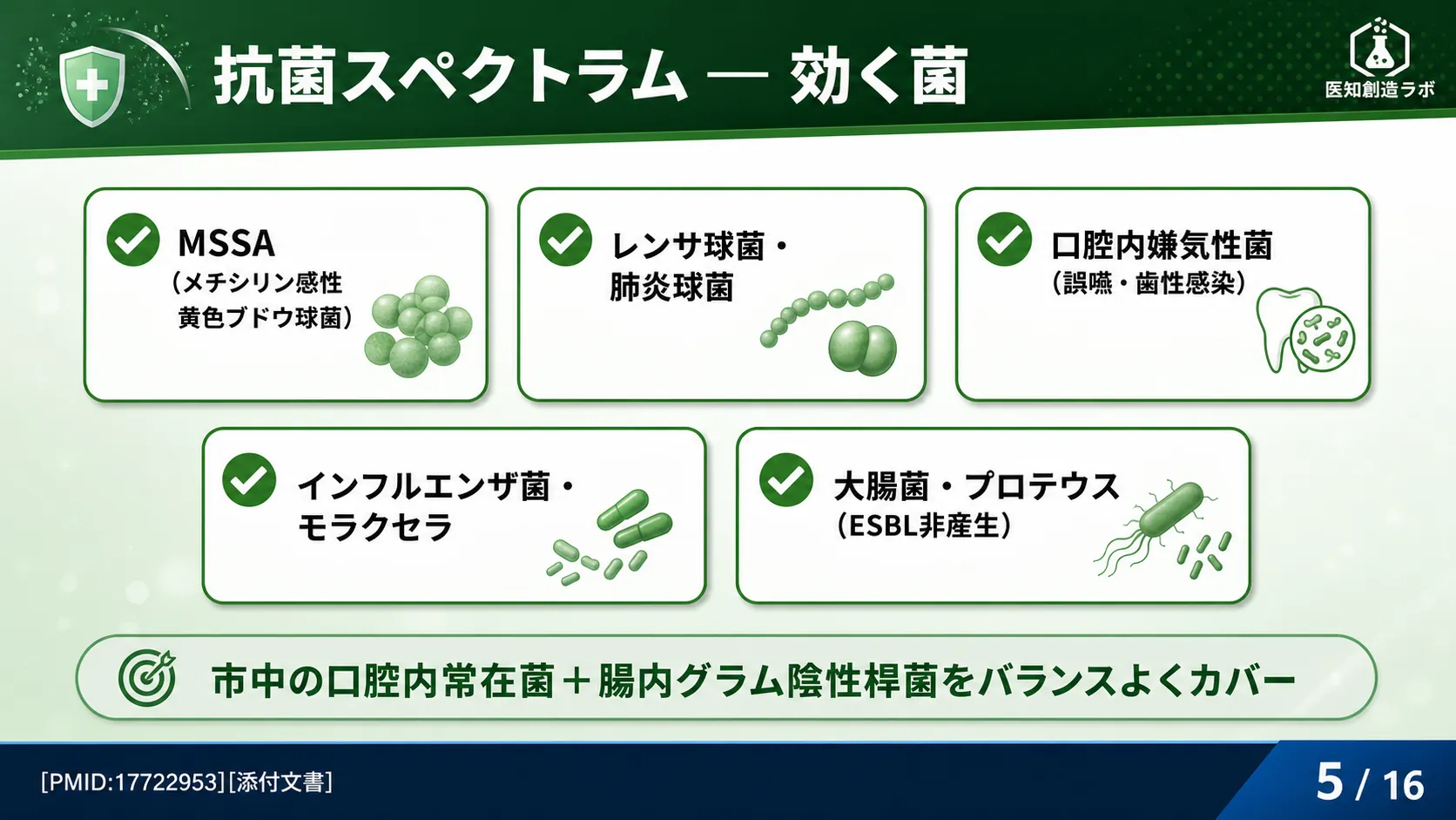 スライド5