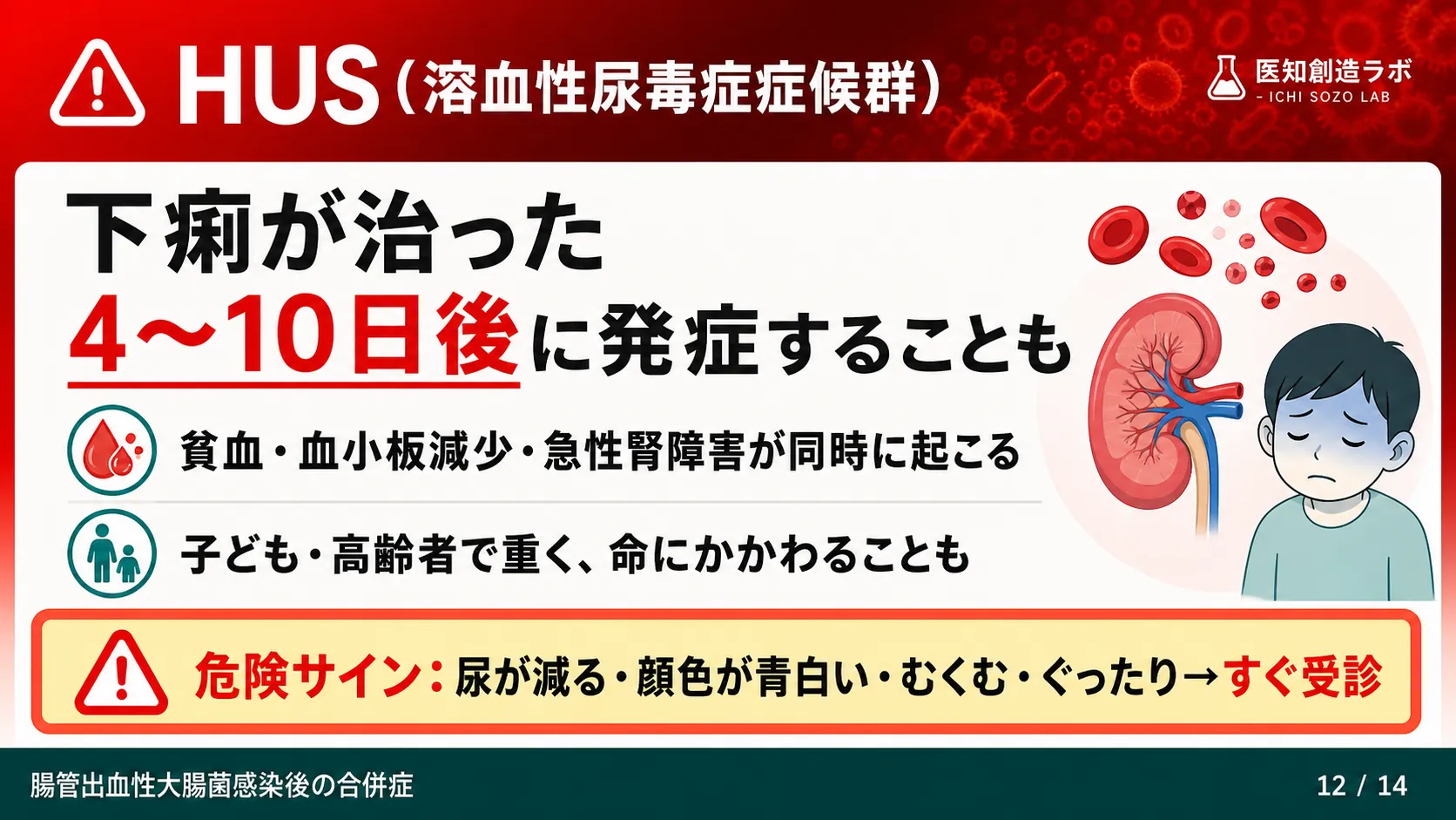 スライド12