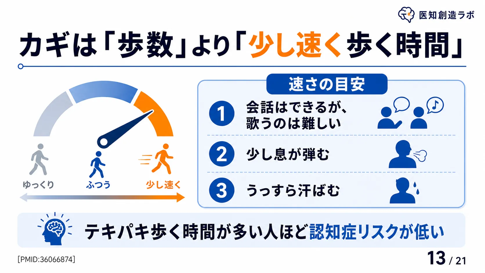 スライド13