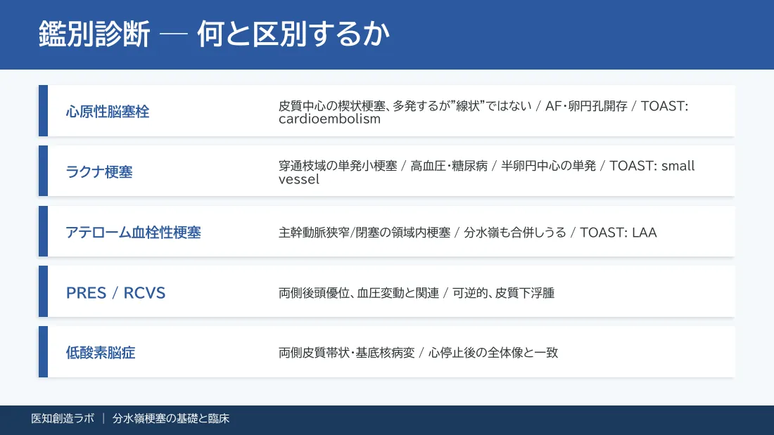 スライド11